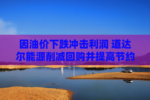 因油价下跌冲击利润 道达尔能源削减回购并提高节约目标  第1张