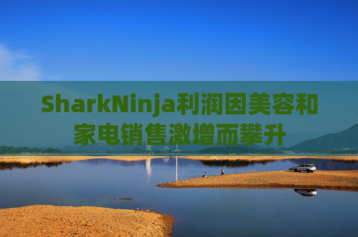 SharkNinja利润因美容和家电销售激增而攀升