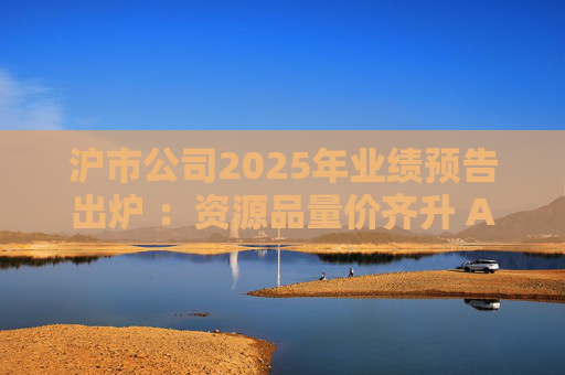 沪市公司2025年业绩预告出炉 ：资源品量价齐升 AI链景气延续