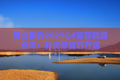 商业银行2025Q4监管数据点评：利润修复的开端  第1张