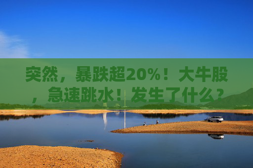 突然，暴跌超20%！大牛股，急速跳水！发生了什么？