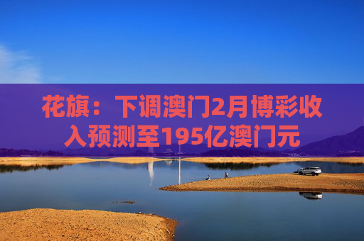 花旗：下调澳门2月博彩收入预测至195亿澳门元  第1张