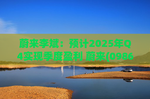 蔚来李斌：预计2025年Q4实现季度盈利 蔚来(09866)迈入可持续发展新阶段  第1张