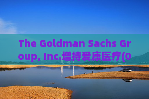 The Goldman Sachs Group, Inc.增持爱康医疗(01789)142万股 每股作价6.26港元  第1张