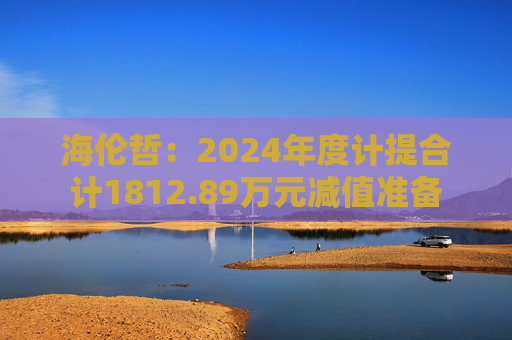 海伦哲：2024年度计提合计1812.89万元减值准备