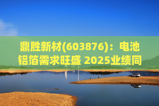鼎胜新材(603876)：电池铝箔需求旺盛 2025业绩同比高增