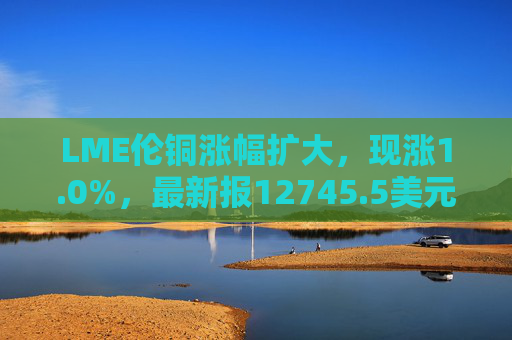 LME伦铜涨幅扩大，现涨1.0%，最新报12745.5美元/吨