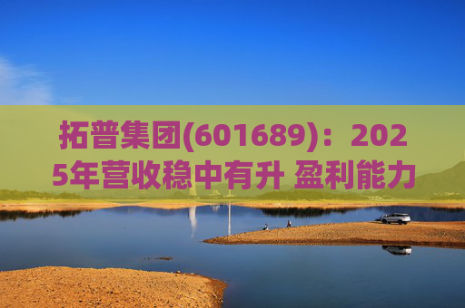 拓普集团(601689)：2025年营收稳中有升 盈利能力短期承压