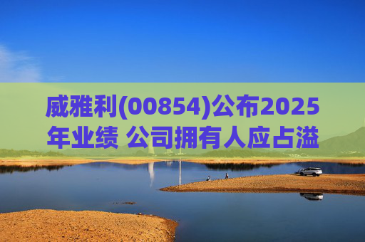 威雅利(00854)公布2025年业绩 公司拥有人应占溢利5095.8万港元  第1张
