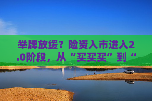 举牌放缓？险资入市进入2.0阶段，从“买买买”到“精挑细选”  第1张