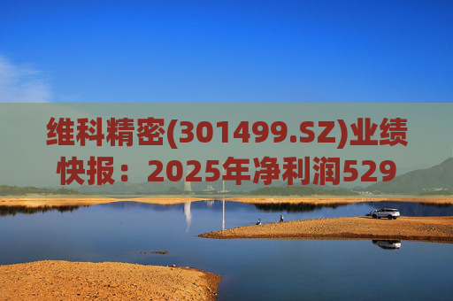 维科精密(301499.SZ)业绩快报：2025年净利润5293.82万元 同比增长16.85%