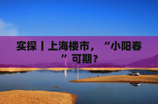 实探丨上海楼市，“小阳春”可期？  第1张