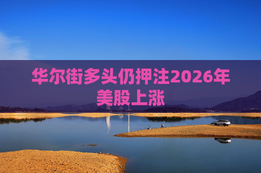 华尔街多头仍押注2026年美股上涨