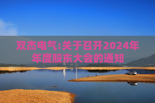 双杰电气:关于召开2024年年度股东大会的通知