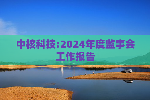 中核科技:2024年度监事会工作报告