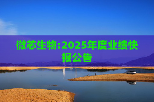 微芯生物:2025年度业绩快报公告  第1张