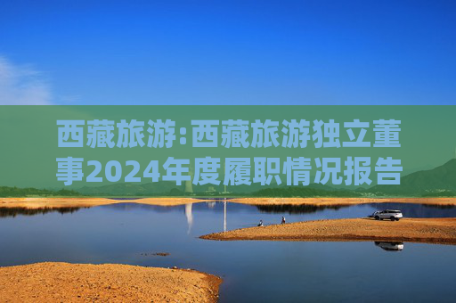 西藏旅游:西藏旅游独立董事2024年度履职情况报告(高金波)