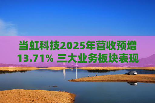 当虹科技2025年营收预增13.71% 三大业务板块表现亮眼  第1张