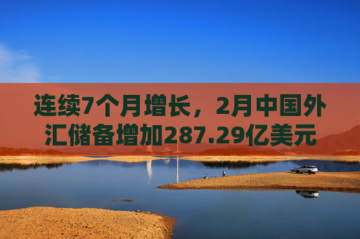 连续7个月增长，2月中国外汇储备增加287.29亿美元