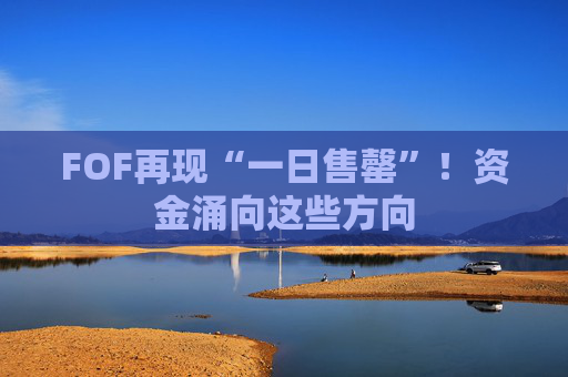 FOF再现“一日售罄”！资金涌向这些方向  第1张