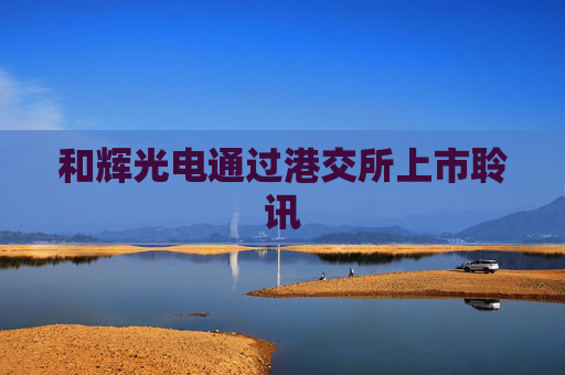 和辉光电通过港交所上市聆讯  第1张