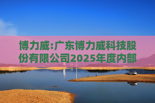 博力威:广东博力威科技股份有限公司2025年度内部控制评价报告