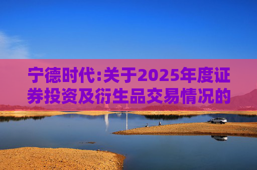 宁德时代:关于2025年度证券投资及衍生品交易情况的专项说明