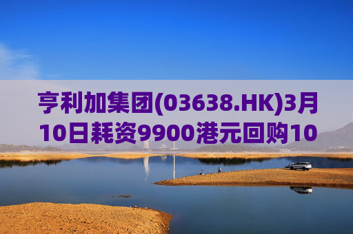 亨利加集团(03638.HK)3月10日耗资9900港元回购1000股