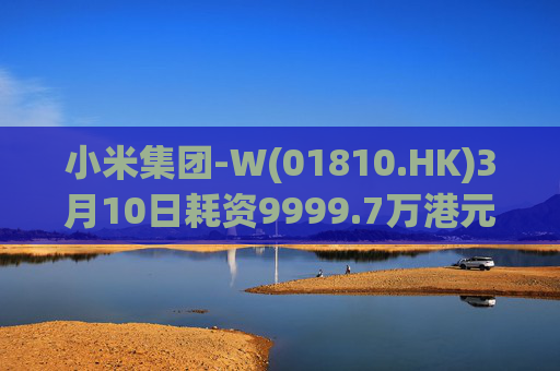 小米集团-W(01810.HK)3月10日耗资9999.7万港元回购297.7万股