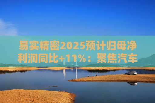 易实精密2025预计归母净利润同比+11%：聚焦汽车精密金属零部件研发销售，设立+增资子公司推进海外布局  第1张