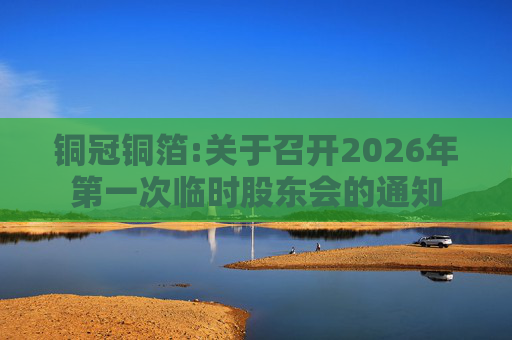 铜冠铜箔:关于召开2026年第一次临时股东会的通知