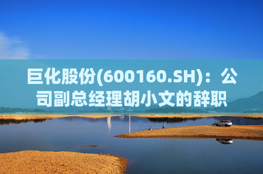 巨化股份(600160.SH)：公司副总经理胡小文的辞职  第1张