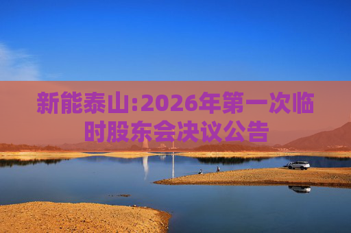新能泰山:2026年第一次临时股东会决议公告