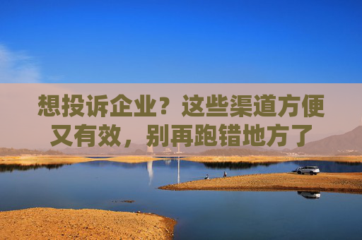 想投诉企业？这些渠道方便又有效，别再跑错地方了