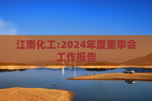 江南化工:2024年度董事会工作报告