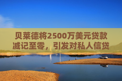 贝莱德将2500万美元贷款减记至零，引发对私人信贷的担忧  第1张