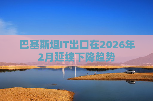 巴基斯坦IT出口在2026年2月延续下降趋势