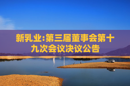 新乳业:第三届董事会第十九次会议决议公告