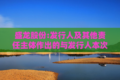 盛龙股份:发行人及其他责任主体作出的与发行人本次发行上市相关的其他承诺事项