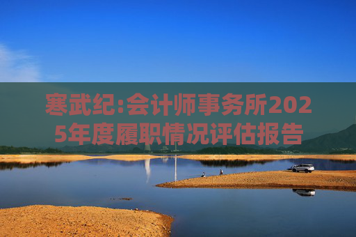 寒武纪:会计师事务所2025年度履职情况评估报告