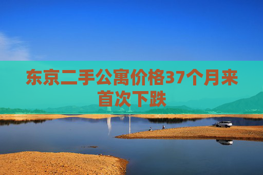 东京二手公寓价格37个月来首次下跌