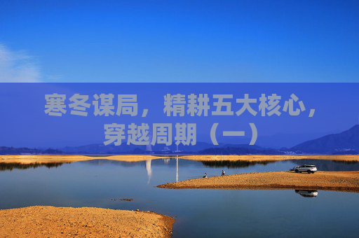 寒冬谋局，精耕五大核心，穿越周期（一）