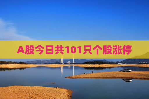 A股今日共101只个股涨停