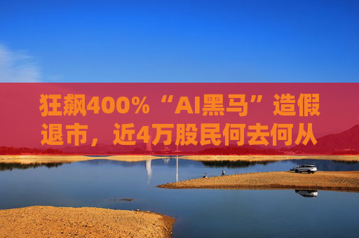 狂飙400%“AI黑马”造假退市，近4万股民何去何从？  第1张
