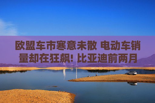 欧盟车市寒意未散 电动车销量却在狂飙! 比亚迪前两月销量猛增179%