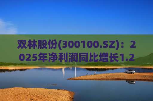 双林股份(300100.SZ)：2025年净利润同比增长1.25% 拟10股派1元  第1张