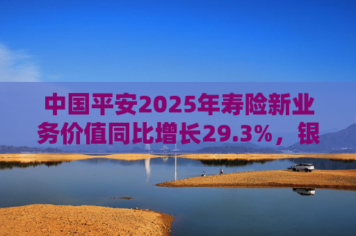中国平安2025年寿险新业务价值同比增长29.3%，银保渠道爆发式同比138%