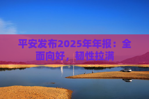 平安发布2025年年报：全面向好，韧性拉满