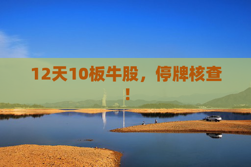 12天10板牛股，停牌核查！