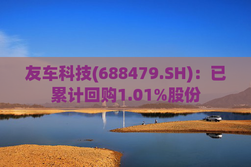 友车科技(688479.SH)：已累计回购1.01%股份  第1张